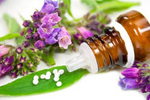 Rapid evaporation solutions for natural product extraction