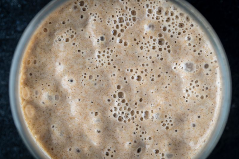 Renaissance BioScience secures Genome BC grant to build wild yeast discovery platform