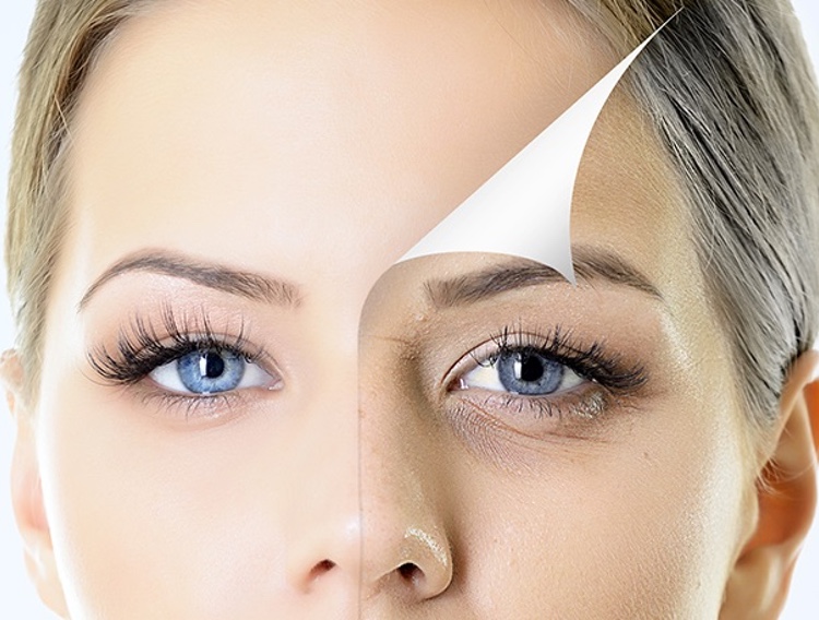 Research backs Bergstrom MSM ingredient for reducing skin ageing