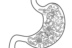 Research on synthetic prebiotics presented at microbiome R&D event