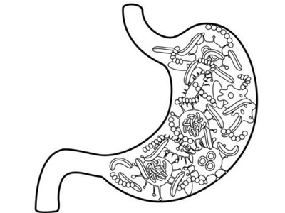 Research on synthetic prebiotics presented at microbiome R&D event