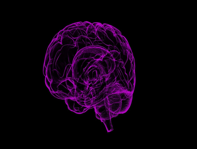 Research shows antioxidant mix could combat cognitive decline