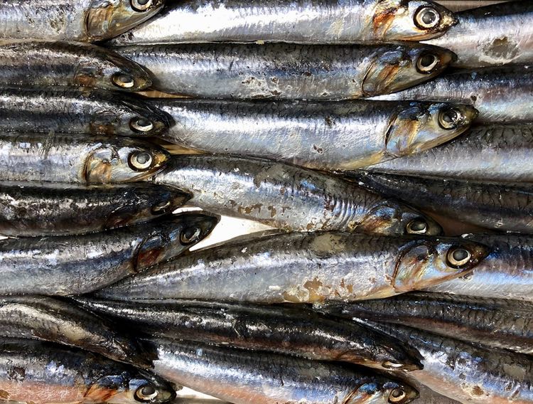 Research supports that the omega-3 sector is prime for an alternative delivery system 