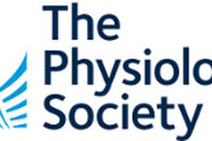 Resistance exercises recover motor and memory impairment caused by flavour enhancer