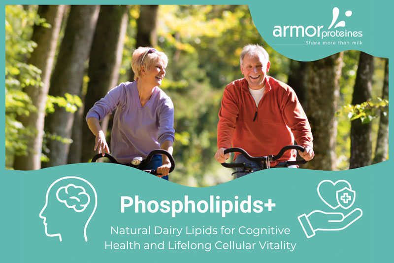Rethinking cognitive health with milk phospholipids