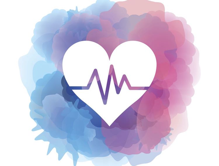 Review paper examines link between microcalcification and atherosclerosis