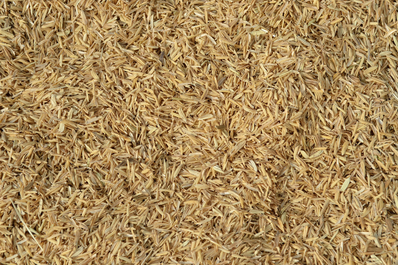 Rice bran compound may regulate intestinal motility