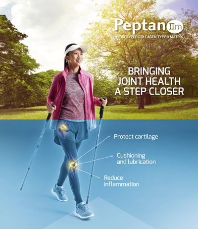 Rousselot drives nutraceutical market forward with Peptan IIm hydrolysed collagen type II matrix and new gelatin solutions
