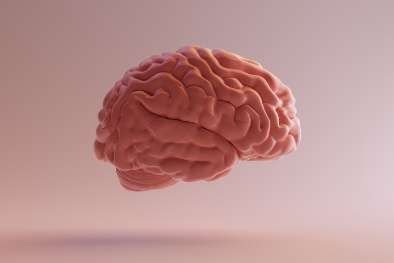 Rousselot launches NxCogni collgagen peptide ingredient for cognitive clarity