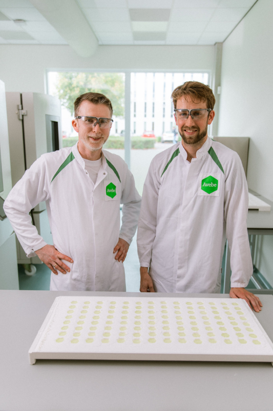 Royal Avebe potato starch cuts gummy drying time to three hours