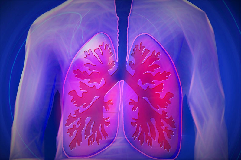 Sabinsa’s Nigellin black cumin seed extract identified as an immunomodulator in asthma inflammation