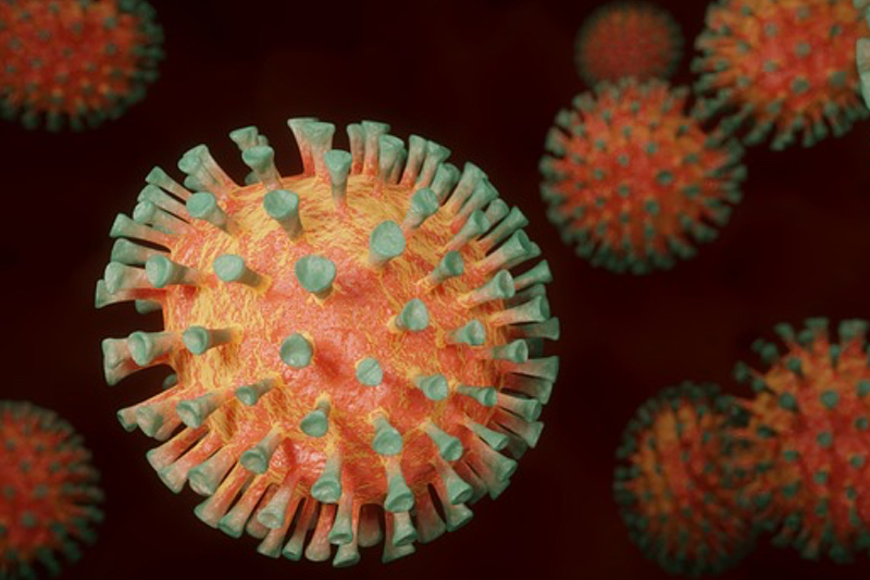 Salmon oil proves effective in managing long COVID, research reveals