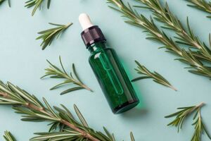 Scientists confirm viral rosemary skincare trend really works — Penn study reveals scar-free healing potential