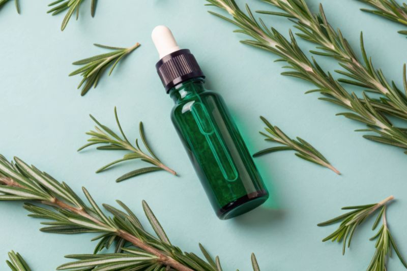 Scientists confirm viral rosemary skincare trend really works — Penn study reveals scar-free healing potential