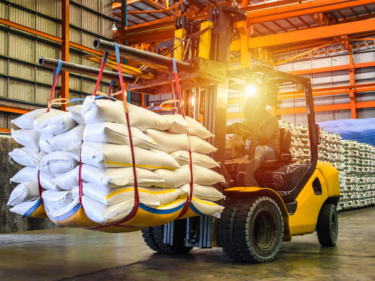 Securing the worldwide food supply 
