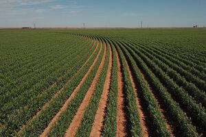 Seed-breeding specialist Equinom expands to the US