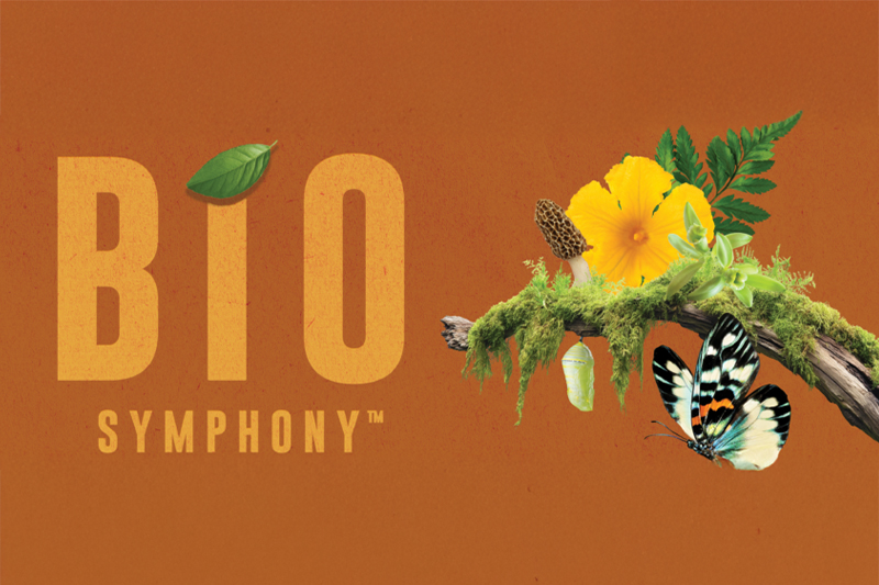 Sensient Flavors & Extracts introduces BioSymphony