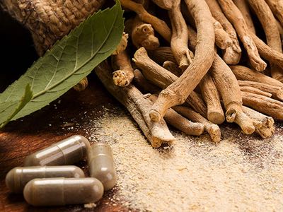 Shagandha Ashwagandha Root Extract 2.5% by Sabinsa meets USP