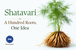 Shatavari: A hundred roots, one idea