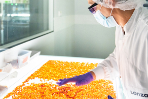 The innovator’s toolkit: Turning formulation challenges into market successes