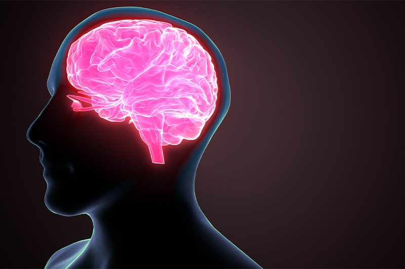 Somin-On: an unique innovation in the world for cognitive health