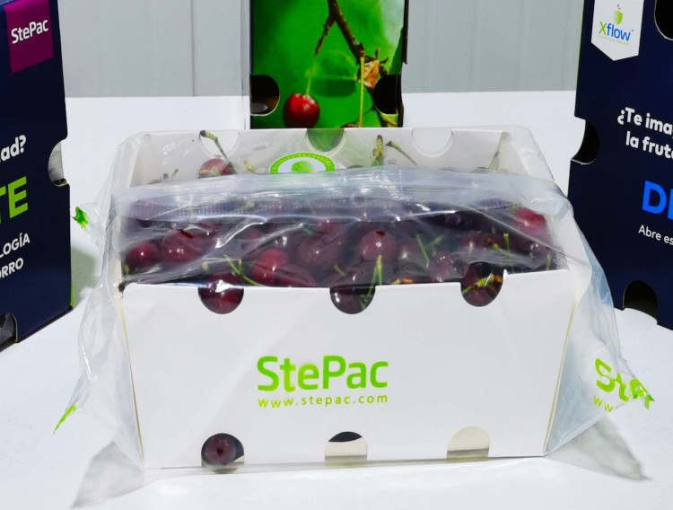 StePac packaging benefits Chilean cherry exporters