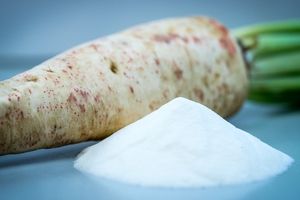 Study demonstrates prebiotic chicory root efficacy in growth of bacteria