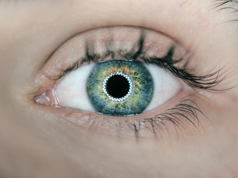 Study reveals effects of capsanthin on ocular system