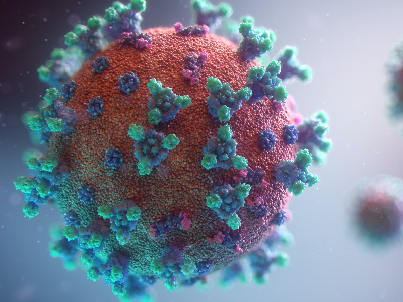 Study shows Quercetin phytosome aids recovery from Covid-19