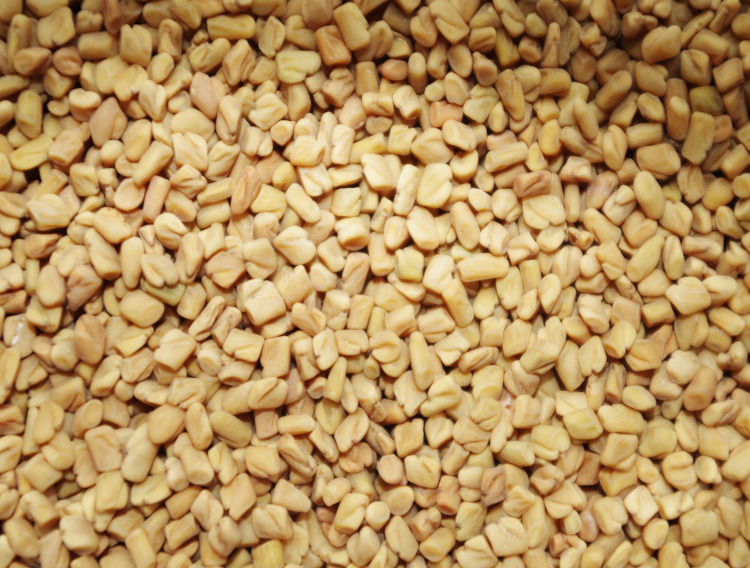 Study suggests Fenugreek alleviates perimenopausal discomforts