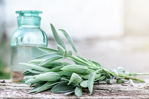 Sustainable Herbs Initiative launches Toolkit 3.0 to advance ethical sourcing across botanical supply chains