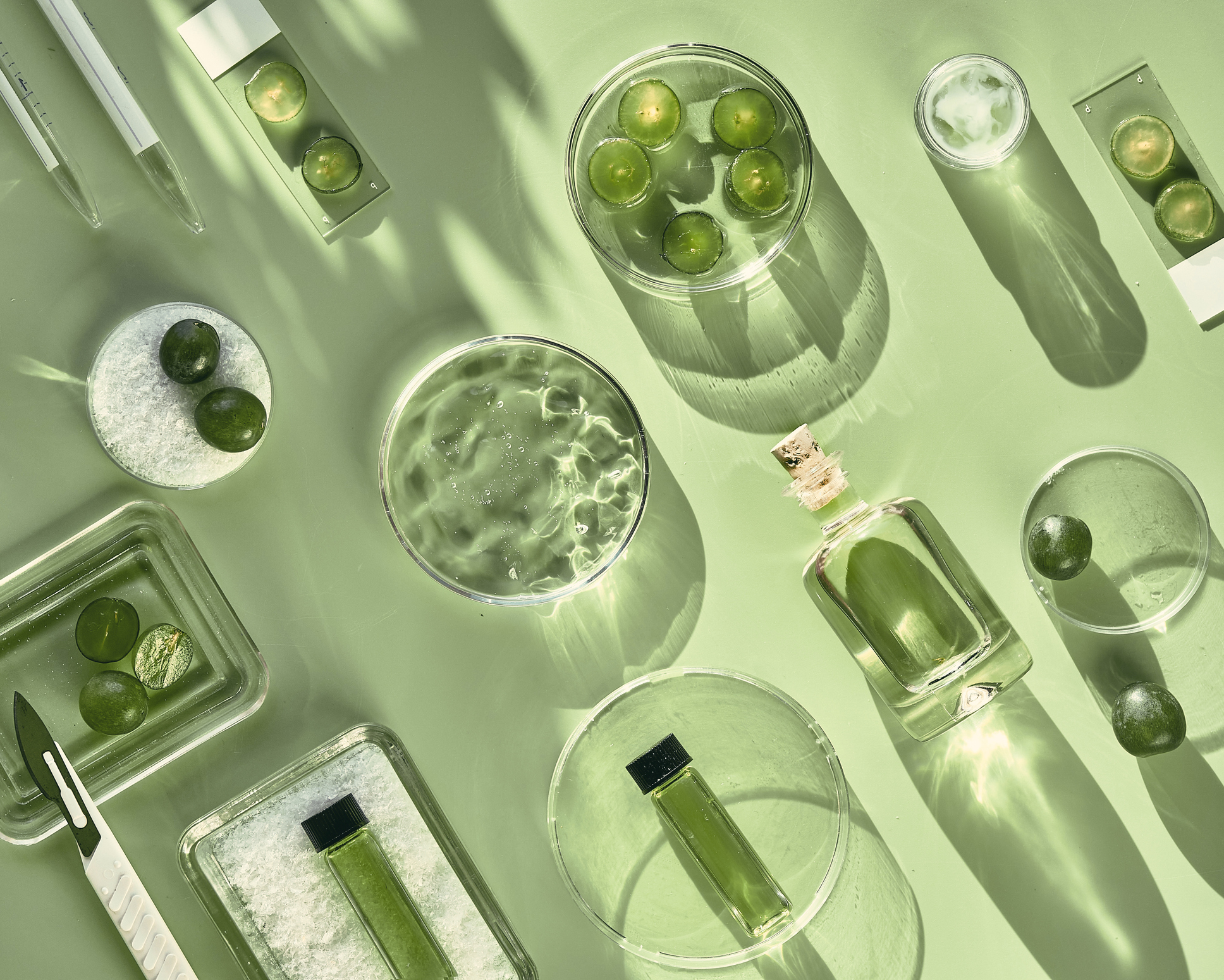 Symrise launches new global food and beverage positioning: "Accelerating Advantage"