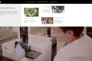 Symrise launches vanilla website
