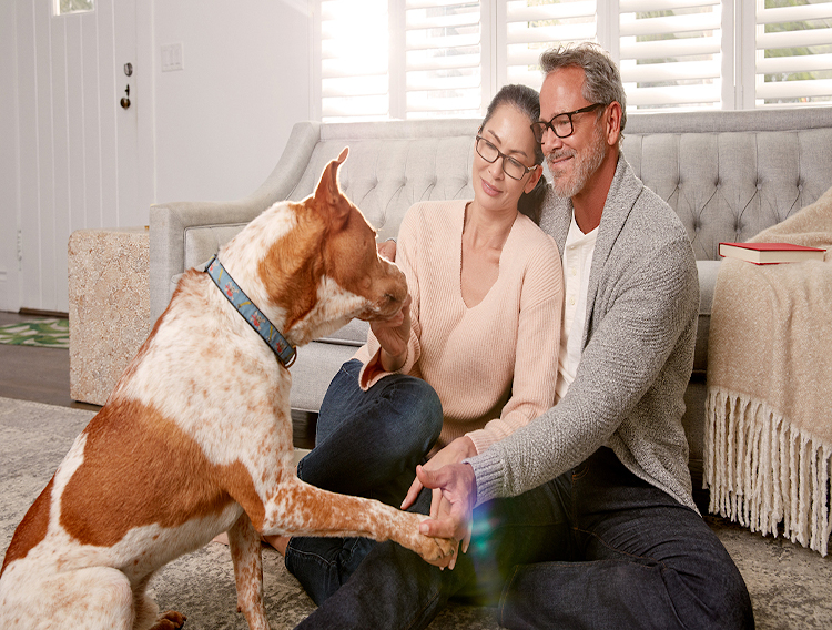 Symrise makes acquisition for pet nutrition segment