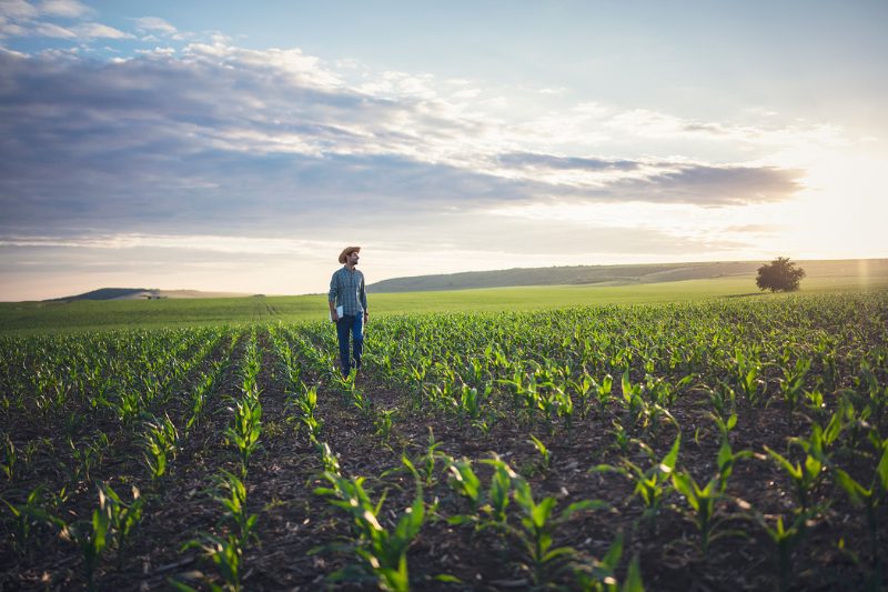 Symrise recognised for sustainability efforts by CDP