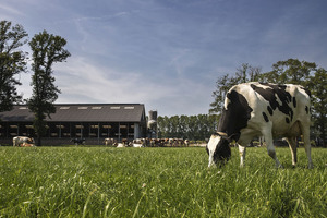 Taking the guesswork out of sustainability
