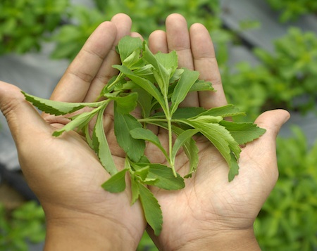 Tate & Lyle makes equity investment in Sweet Green Fields