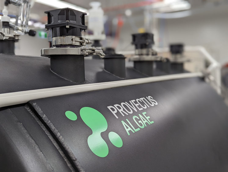 The next big expression chassis: microalgae and the future of biomanufacturing (part I) 