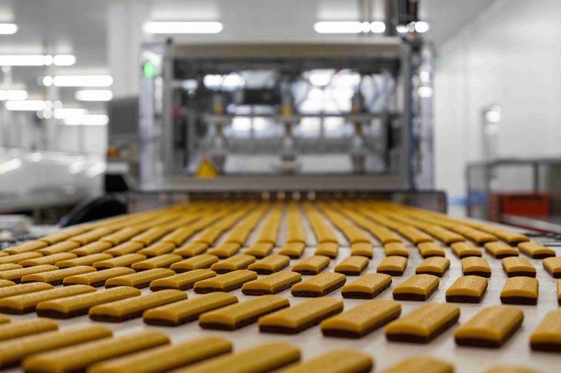 The rise of weight management and nutraceutical contract manufacturing