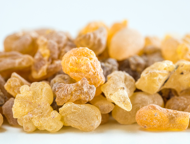 Third-party confirms sustainability of PLT Boswellia serrata