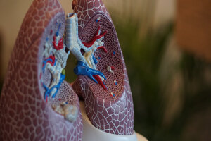 Unigen to launch ingredients for respiratory & immune health