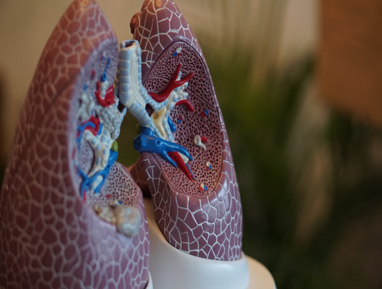 Unigen to launch ingredients for respiratory & immune health