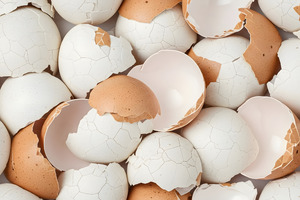 Upcycled eggshell collagen OVOLUX® delivers low-dose, clinically validated beauty from within