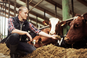 Valio milk production chain to discontinue use of soy