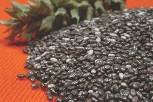 Vitafoods preview: EC novel food approval in progress for BENEXIA chia oil