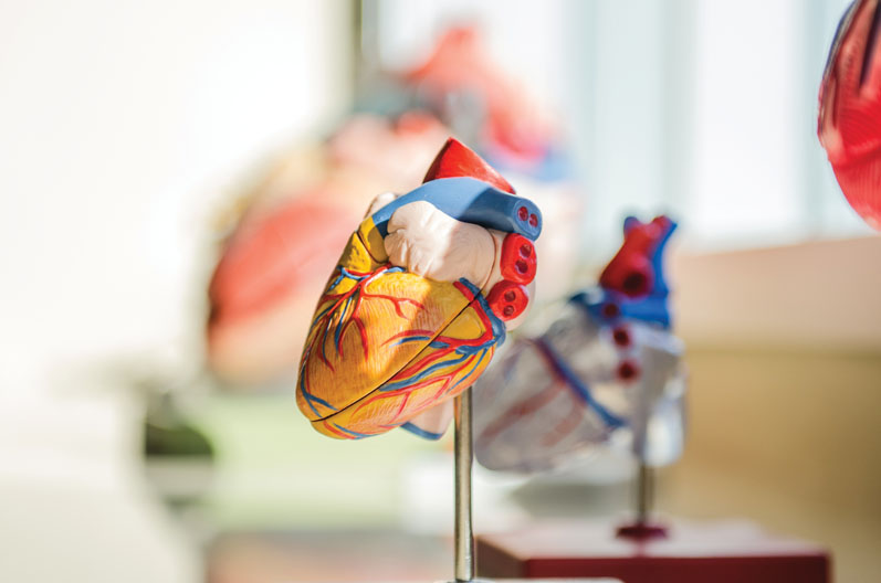 Vitamin K2 MK-7 and Cardiovascular Calcification