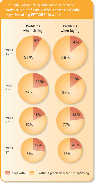Figure 1: Problems when sitting and laying decreased statistically significantly after 12 weeks of daily ingestion of 5 g of PETAGILE (n=22)