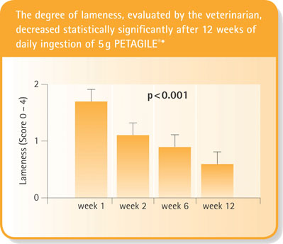 Figure 2: The degree of lameness, evaluated by a veterinarian, decreased statistically significantly after 12 weeks of daily ingestion of 5 g of PETAGILE
