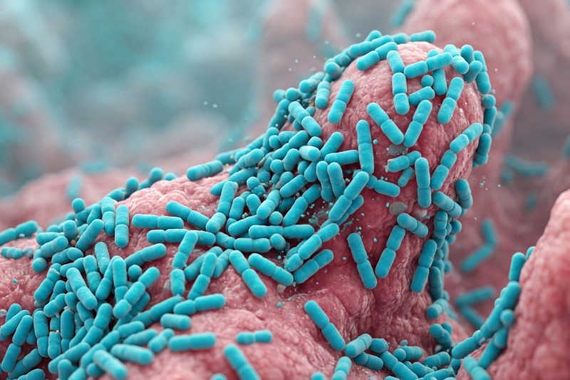 Why oral probiotics need mouth-specific strains, not gut formulas