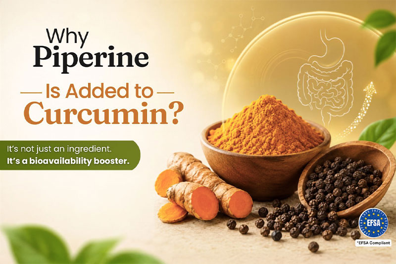 Why piperine is added to curcumin?
